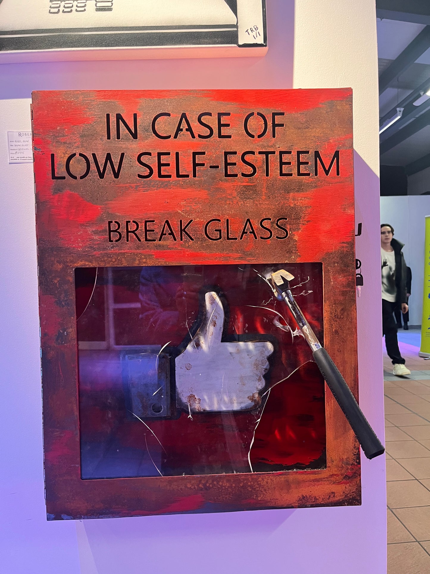 Break Glass Facebook by Rebel Bear