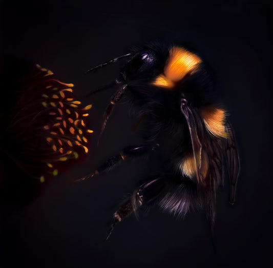 Original Bee Thankful by Gordon Corrins