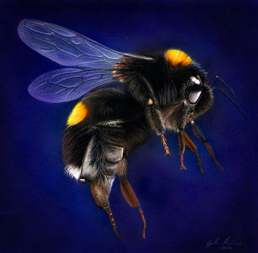 Original Bee Yourself by Gordon Corrins