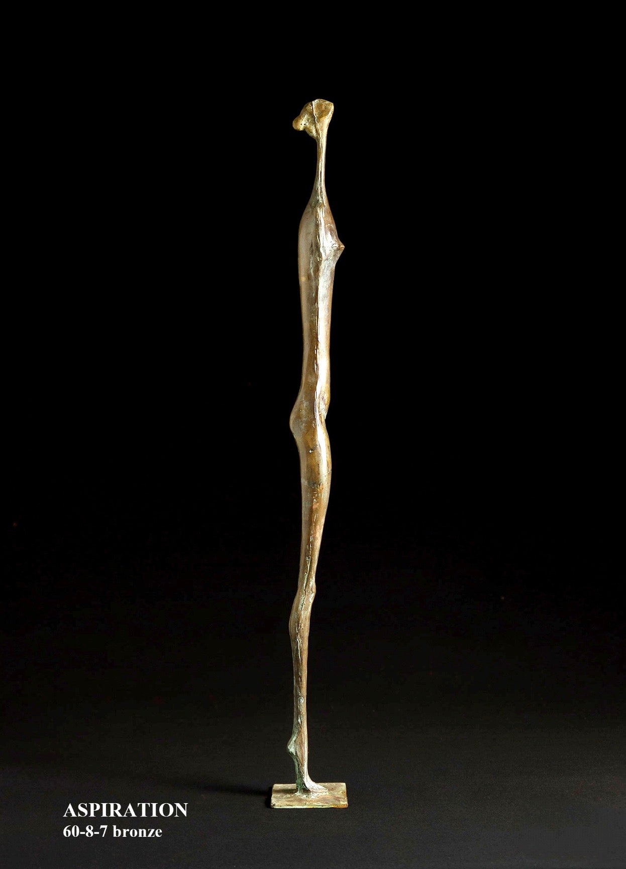 Aspiration by Gevorg Tadevosyan