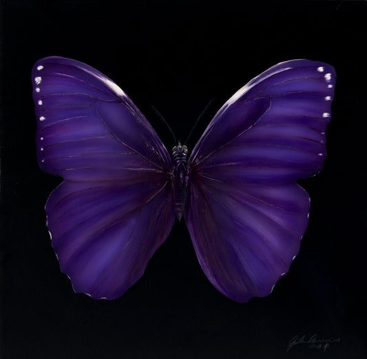 Original Violette by Gordon Corrins