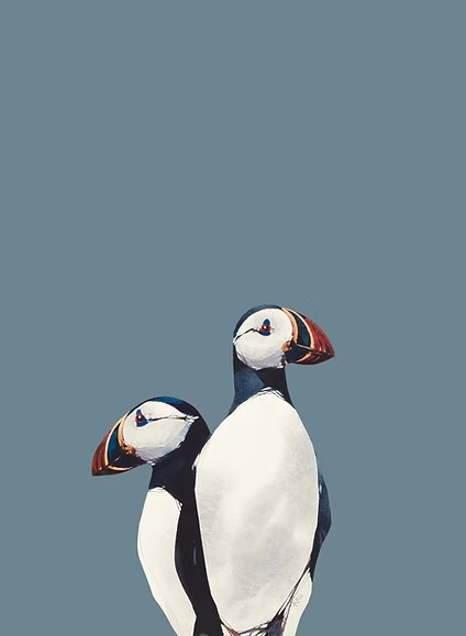 Puffin Pair by Ron Lawson