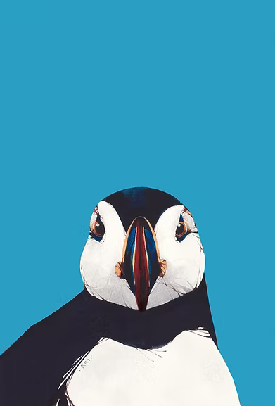 Puffin Front by Ron Lawson