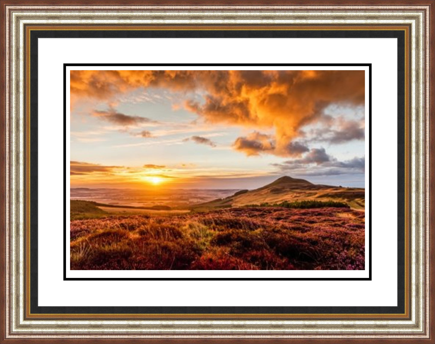 Falkland Hill Heather by John Pow