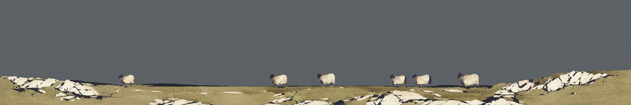 Wandering Sheep by Ron Lawson