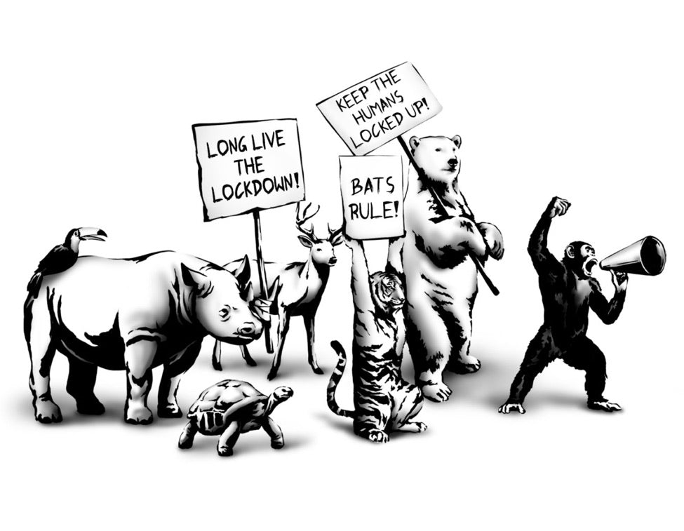 The Protest by Rebel Bear