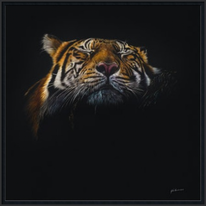 Caught in a Dream by Gordon Corrins