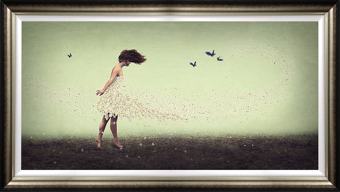 Daisy by Michelle Mackie