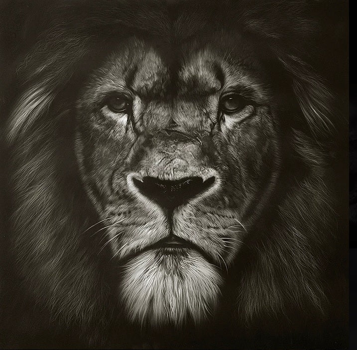 The Patriarch by Gordon Corrins