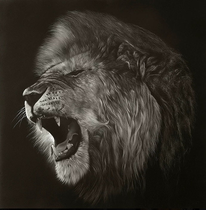 The Warrior by Gordon Corrins