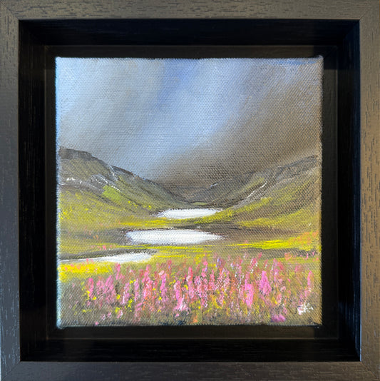 Foxgloves at 3 lochs by Gill Knight