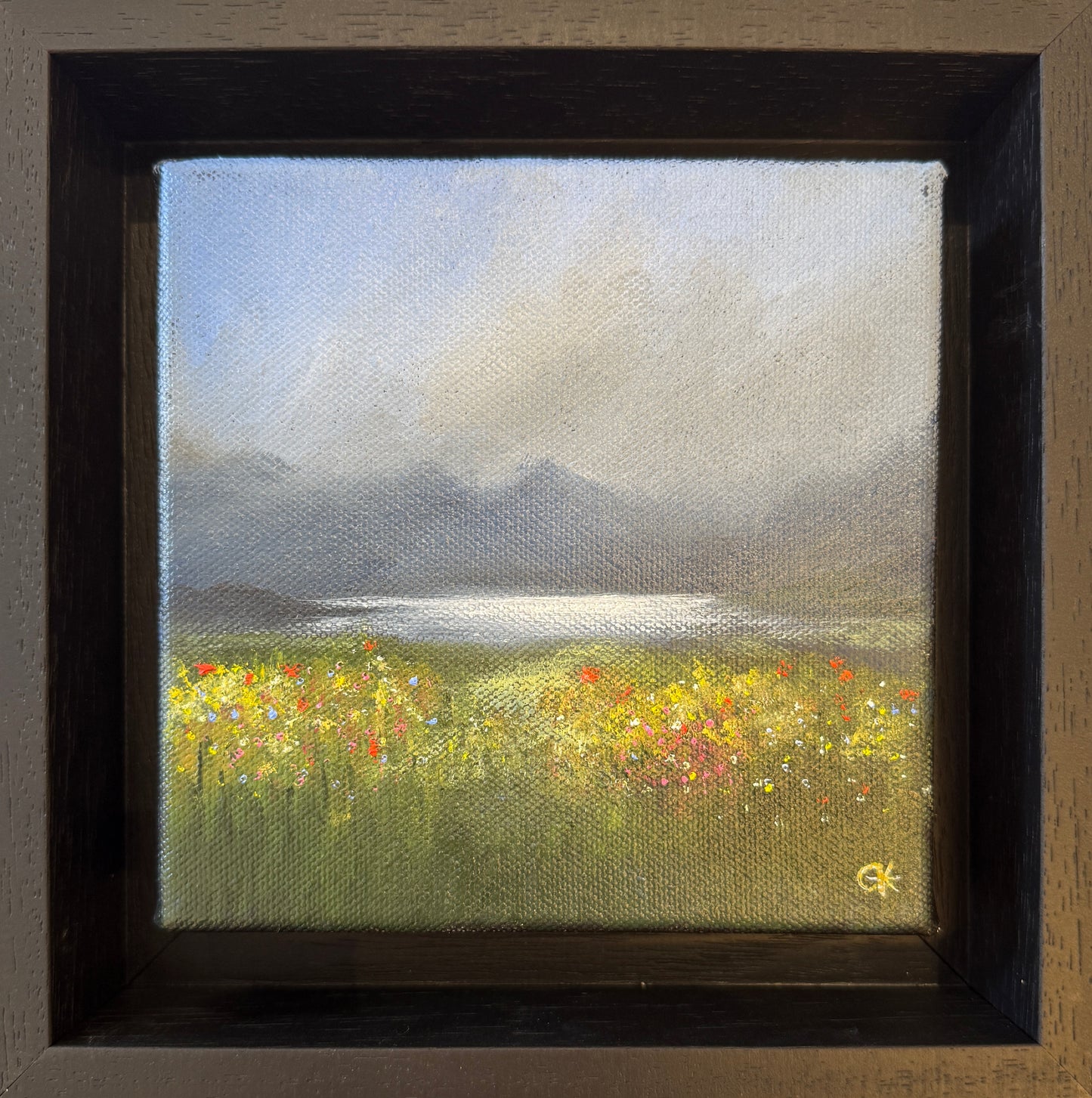 Wildflowers on Mull by Gill Knight