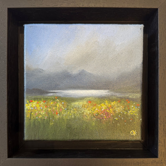 Wildflowers on Mull by Gill Knight