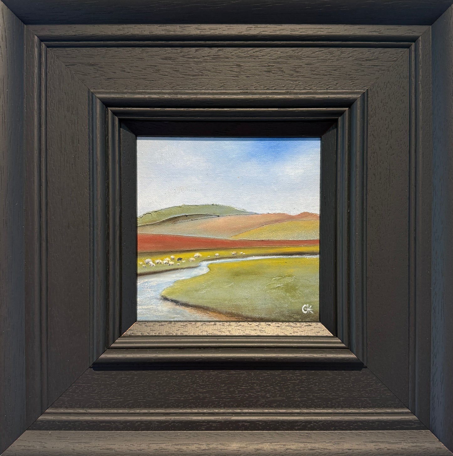 Black Sheep by gill knight