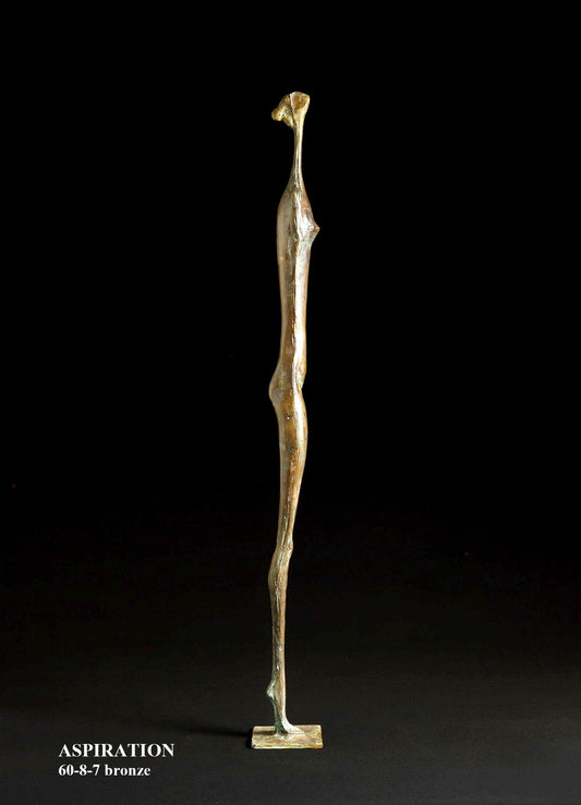 Aspiration by Gevorg Tadevosyan