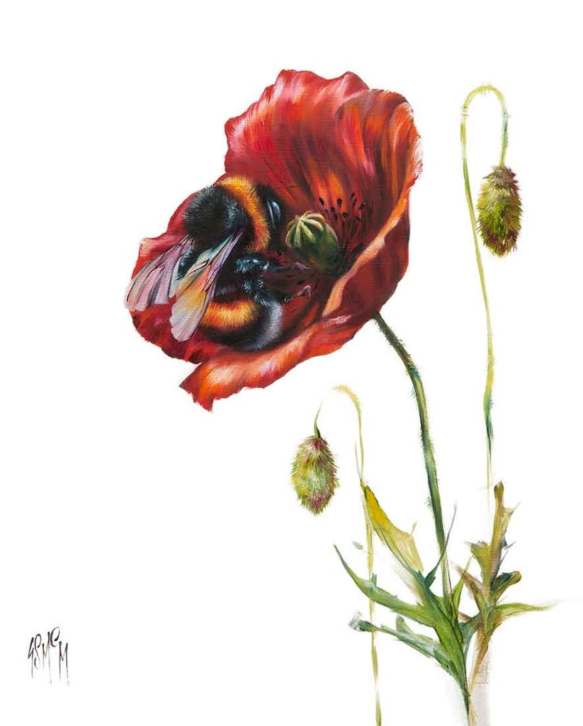 Poppy Love by Georgina McMaster