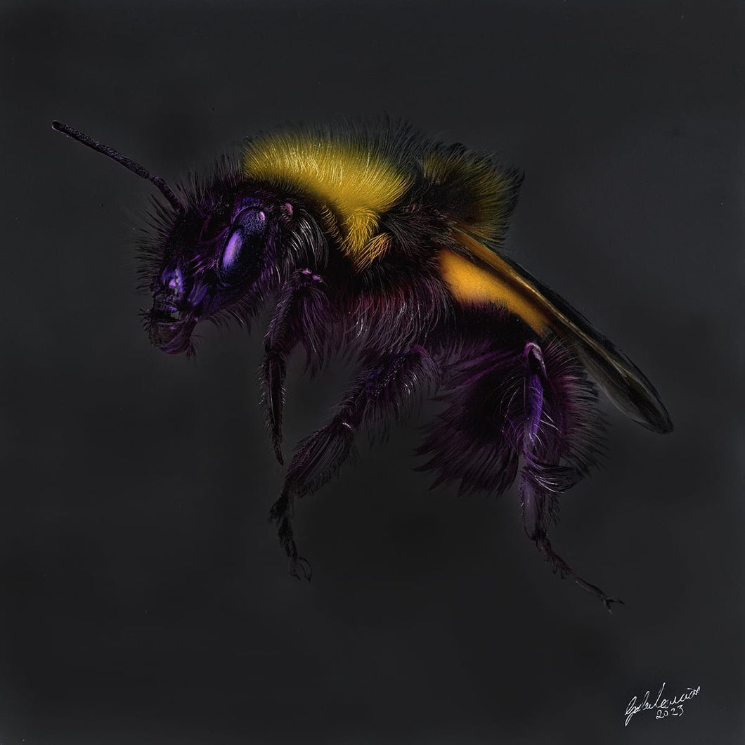 Original Bee Punk by Gordon Corrins