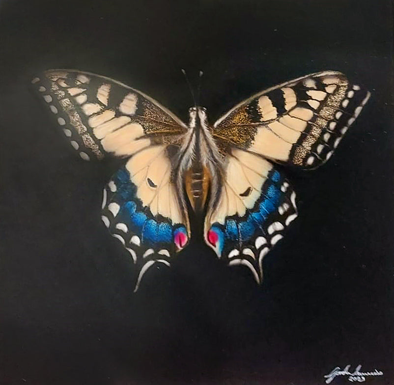 Original Old World Swallowtail by Gordon Corrins