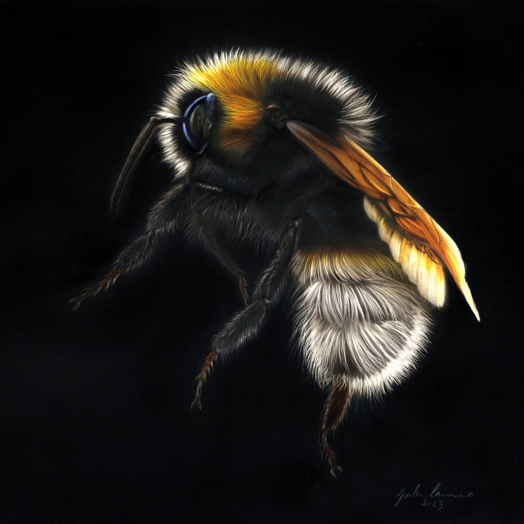 Original Or Not To Bee by Gordon Corrins