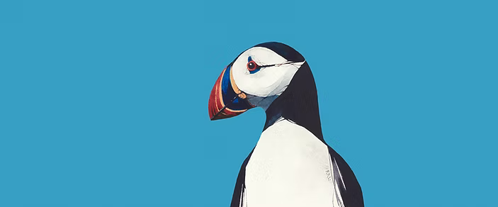 Puffin Blue Sky by Ron Lawson