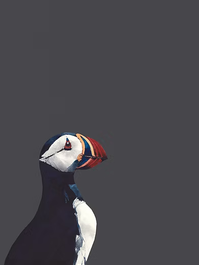 Puffin Dark Sky by Ron Lawson