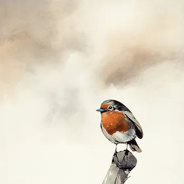 Robin by Ron Lawson