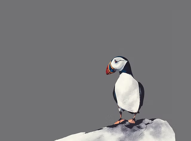 Atlantic Puffin by Ron Lawson