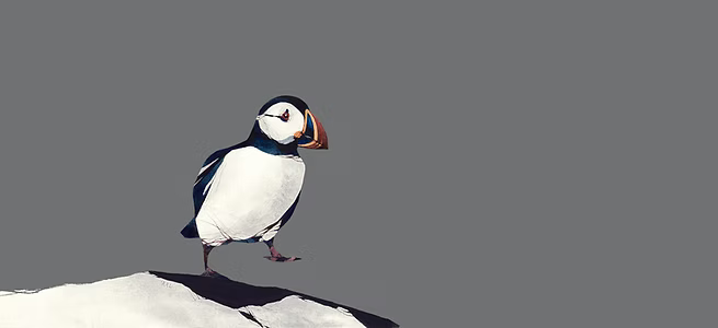 Puffin Walk by Ron Lawson