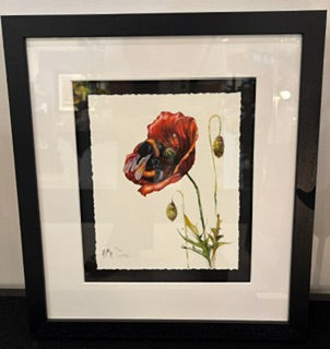 Poppy Love by Georgina McMaster