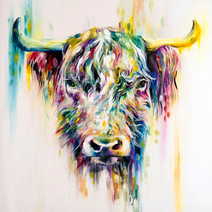 Highland Cow  by Katy Jade Dobson