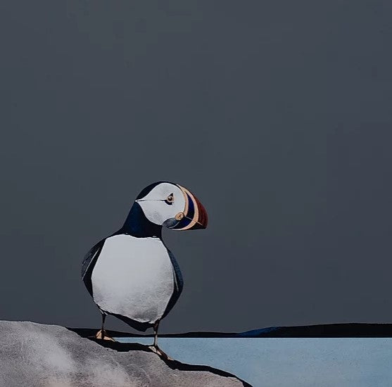Isle of Lunga Puffin by Ron Lawson