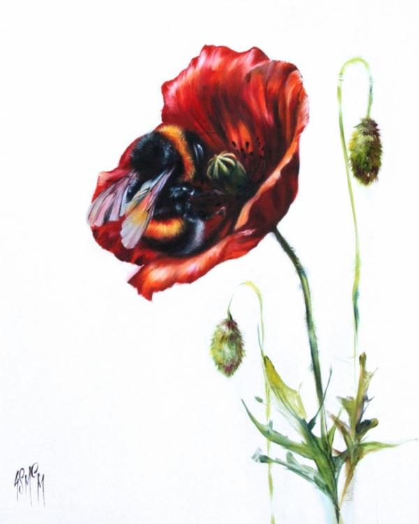 Poppy Love by Georgina McMaster